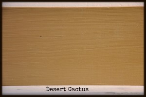 desertcactus #americanpaintcompany #colors #shizzledesign